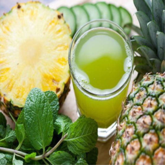 stentor_product_pineapplemint